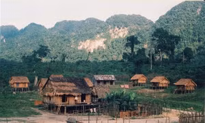 Người Chứt