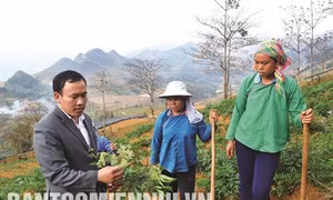 Giàng Seo Châu - Chủ tịch xã người Mông hết lòng vì quê hương