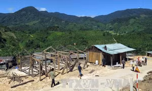 Ổn định đời sống người dân vùng cao Quảng Nam