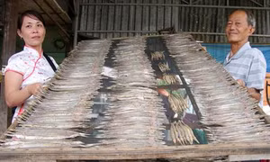 Làng nghề chế biến khô cá biển ở Sông Đốc