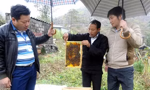 Một gia đình ghi nhớ lời Bác dặn, vươn lên thoát nghèo