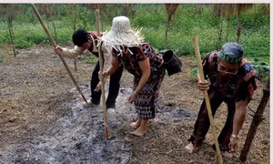 Đồng bào Pa Cô đánh thức hạt giống