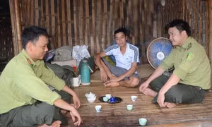 Tuyên Quang chủ động thực hiện các biện pháp phòng chống cháy rừng