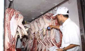 Cần vá lỗ hổng khâu trung gian về truy xuất nguồn gốc thịt lợn tại Thành phố Hồ Chí Minh