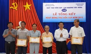 Quỹ trợ vốn cho người nghèo tự tạo việc làm Thành phố Hồ Chí Minh: Điểm tựa cho người nghèo