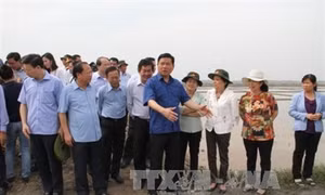 Cần Giờ phát triển sản phẩm du lịch đặc trưng