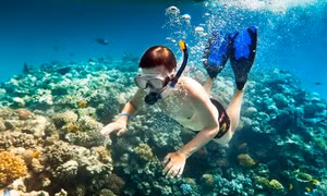 Nên thơ vẻ đẹp Mũi Ông Đội