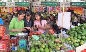 Nhiều triển vọng với xuất khẩu trái cây Việt Nam (Bài 2)