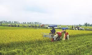 20 tác phẩm xuất sắc được tôn vinh tại Cuộc thi viết về nông nghiệp, nông dân, nông thôn