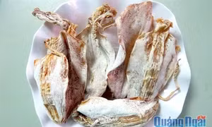 Mực khô Sa Huỳnh