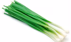 Kỹ thuật trồng hành lá