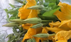 Dược thiện từ hoa bí ngô
