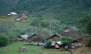 Hoa trên cao nguyên đá Lục Khu