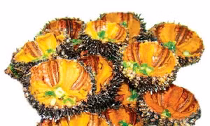 Đặc sản nhum biển Lý Sơn