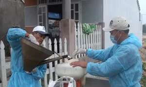 Công điện của Thủ tướng về việc tăng cường công tác phòng, chống sốt xuất huyết