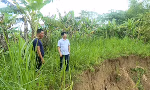 Thanh Hóa: Người dân bất an vì sạt lở bờ đê sông Chu