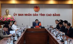 Tăng cường hợp tác trên các lĩnh vực với tỉnh Quảng Tây (Trung Quốc)