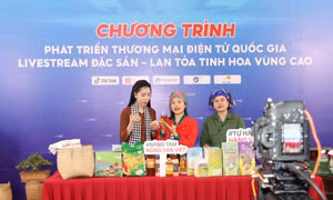 Liên kết vùng để thúc đẩy thương mại điện tử vùng trung du và miền núi phía Bắc
