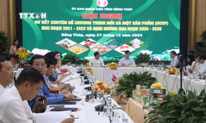 Đồng Tháp phát triển sản phẩm OCOP gắn với tài nguyên bản địa