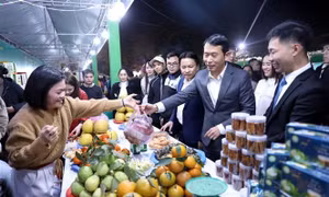 Tuyên Quang vinh danh 21 sản phẩm công nghiệp nông thôn tiêu biểu