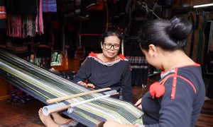 Sản phẩm của buôn làng Tây Nguyên “vươn xa” cùng OCOP
