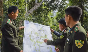 Chủ động phòng, chống cháy rừng mùa hanh khô