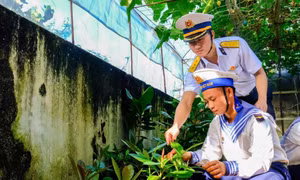 Quân chủng Hải quân triển khai chương trình "Xanh hóa Trường Sa"