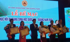 Bế mạc Năm phục hồi đa dạng sinh học quốc gia - Quảng Nam năm 2024