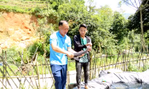 Nuôi cá tầm, hướng giảm nghèo bền vững ở vùng cao Hà Giang