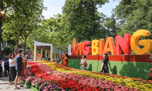 'Check-in' cao nguyên Lâm Đồng ngay tại phố đi bộ hồ Hoàn Kiếm