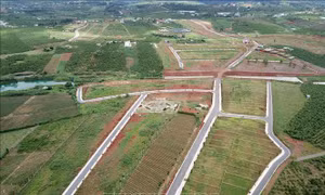Khu "dự án" 36 ha ở xã ĐamB’ri đã bị làm đường, phân lô và đang rao bán nền. Ảnh: Quốc Hùng- Nguyễn Dũng - TTXVN