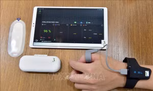 Giải pháp công nghệ cao Tele-ICU Monitoring được thực hiện với các thiết bị gồm máy tính bảng, đồng hồ đo mạch và nồng độ oxy trong máu (Checkme O2) và miếng dán đo nhịp tim và nhịp thở (Continuous ECG Recorder). Ảnh: TTXVN phát