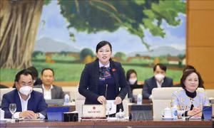 Đồng chí Nguyễn Thanh Hải, Ủy viên Trung ương Đảng, Bí thư Tỉnh ủy Thái Nguyên phát biểu. Ảnh: Doãn Tấn - TTXVN