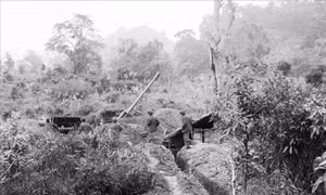 Biên cương- Nơi linh thiêng Tổ quốc