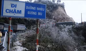 Các phương tiện không thể di chuyển tại doạn đèo Ô Quy Hồ thuộc địa phận tỉnh Lai Châu đi Sa Pa do mặt đường đóng băng. Ảnh: Nguyễn Oanh-TTXVN