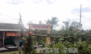 Hà Nội mưa rào và dông rải rác, trời mát mẻ