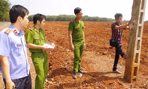 Bình Phước: Phá thành công chuyên án trộm cáp viễn thông