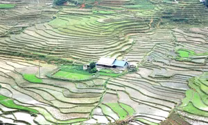 Ruộng bậc thang Tây Bắc mùa nước đổ