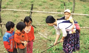 Can thiệp nhằm giảm tình trạng tảo hôn và kết hôn cận huyết thống