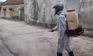Tăng cường giám sát, phát hiện sớm ca bệnh do não mô cầu