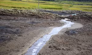 Điện Biên: Ô nhiễm môi trường từ chất thải do chế biến dong riềng