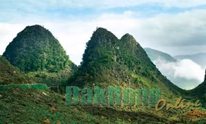 Sắc màu cao nguyên đá Đồng Văn