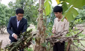 Gương trí thức trẻ năng động, nhiệt huyết trên vùng đất khó