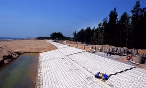 Thanh Hóa khẩn trương thi công các công trình đê, kè
