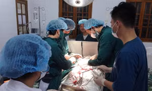 Cấp cứu thành công hai bệnh nhân trên đảo Bạch Long Vĩ