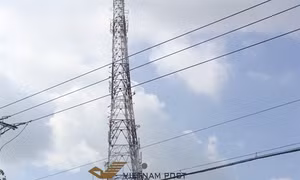 Ghi nhận ở Đồng Tháp