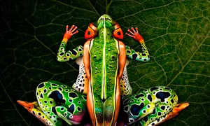 Body painting "phù phép" người mẫu thành động vật