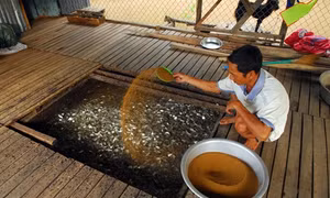 Nhiều mô hình, giải pháp giúp người dân sống chung với không có lũ ở ĐBSCL