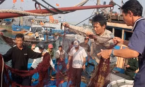 Cứu hộ ngư dân trên tàu cá bị đâm chìm ở Hoàng Sa
