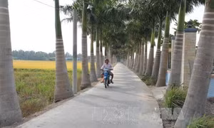 Kiện toàn bộ máy cán bộ, công chức, đáp ứng yêu cầu xây dựng nông thôn mới